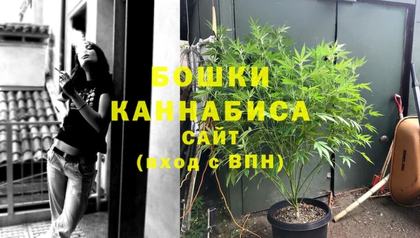 гидра Бежецк