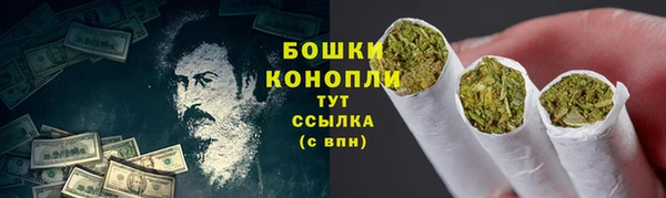 гидра Бежецк