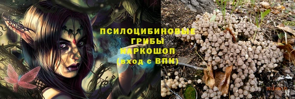 спиды Белая Холуница