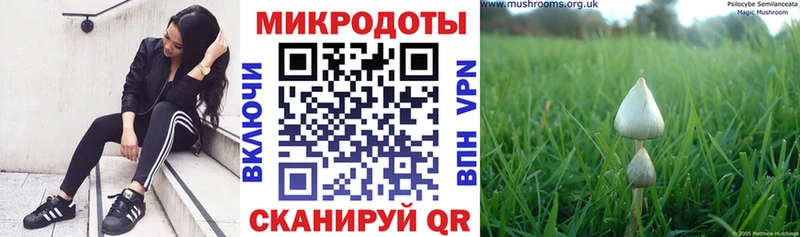 Псилоцибиновые грибы MAGIC MUSHROOMS  Донской 