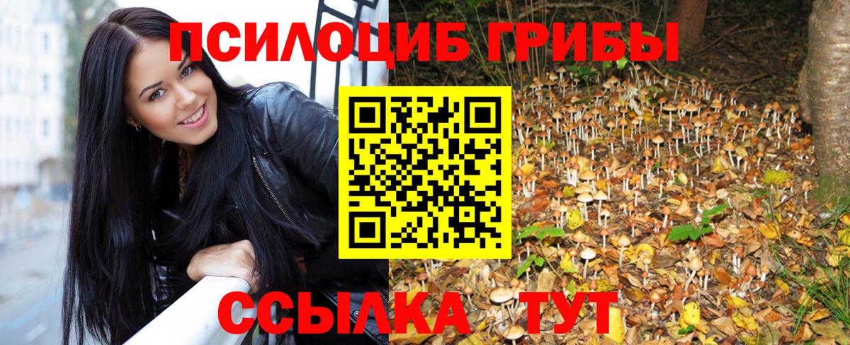 Галлюциногенные грибы мухоморы  Донской  Псилоцибиновые грибы Cubensis 