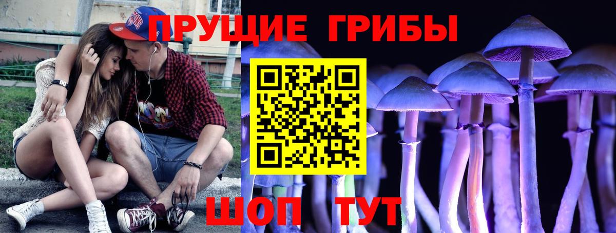 Донской  Галлюциногенные грибы мухоморы  Вход с VPN 